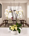 White Holiday Elegance Orchid Pairing from Green Fresh Florals + Plants