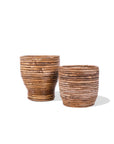 Aroon Lined Rattan Basket - Green Fresh Florals + Plants