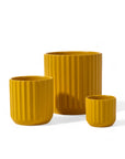 Beam Pot Collection - Green Fresh Florals + Plants