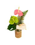 Bit O' Paradise - Green Fresh Florals + Plants