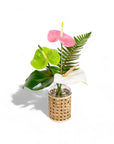 Bit O' Paradise - Green Fresh Florals + Plants