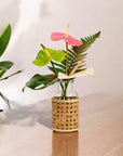 Bit O' Paradise - Green Fresh Florals + Plants