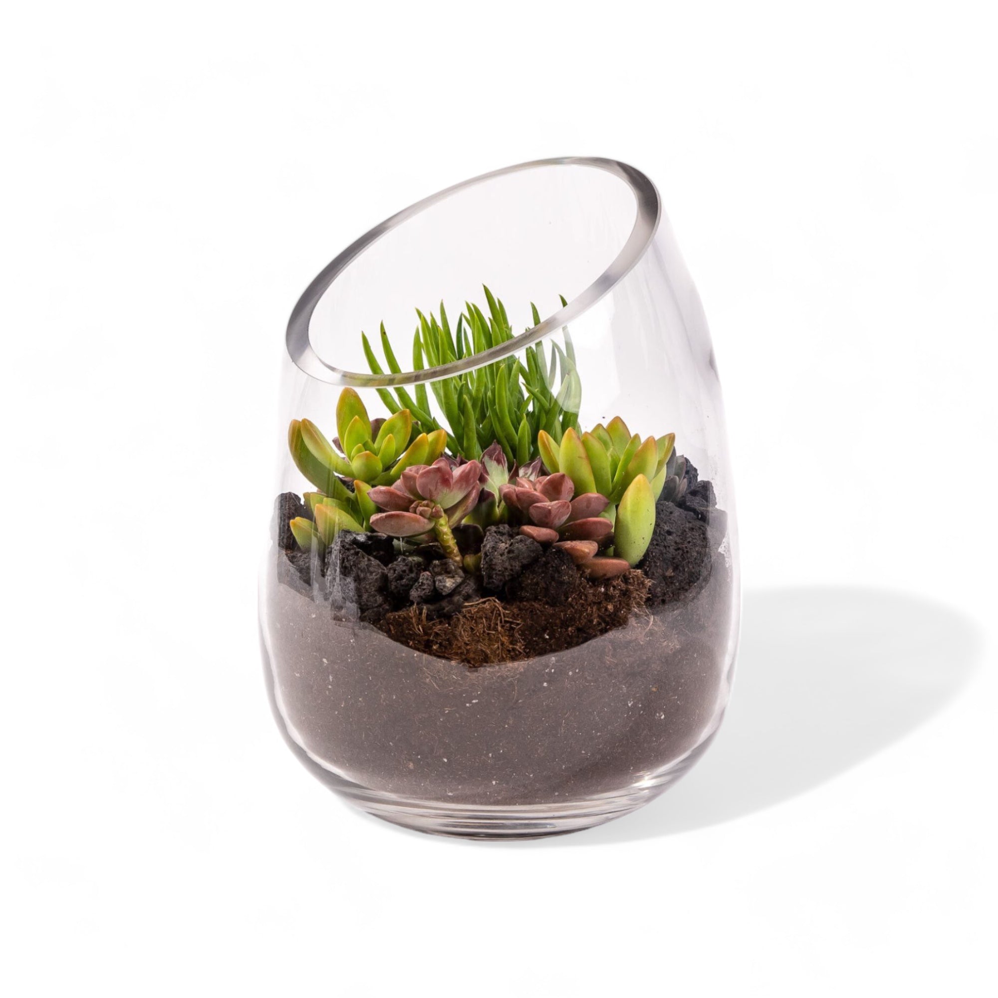Bullet Vase Succulent Terrarium - Green Fresh Florals + Plants