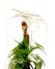 Fern Gully Terrarium - Green Fresh Florals + Plants