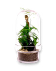 Fern Gully Terrarium - Green Fresh Florals + Plants