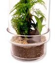 Fern Gully Terrarium - Green Fresh Florals + Plants
