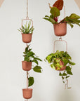 Gemini Hanging Pot - Green Fresh Florals + Plants
