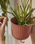 Gemini Hanging Pot - Green Fresh Florals + Plants