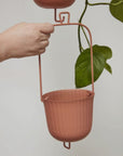 Gemini Hanging Pot - Green Fresh Florals + Plants