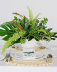 Green Monochrome A la Carte Centerpiece - Green Fresh Florals + Plants