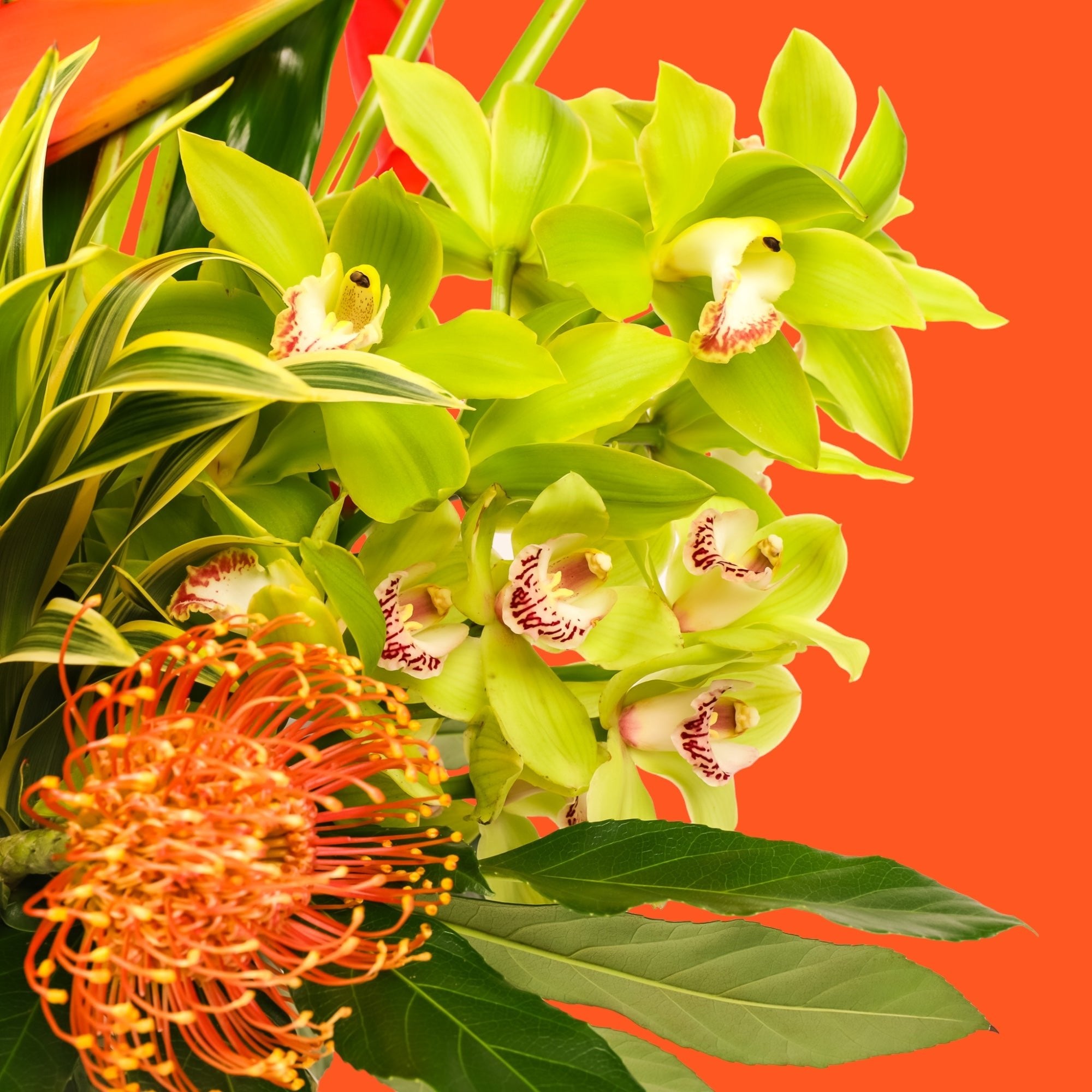 Hilo Beauty Designer Floral - Green Fresh Florals + Plants