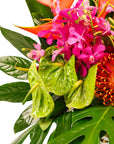 Hilo Beauty Designer Floral - Green Fresh Florals + Plants