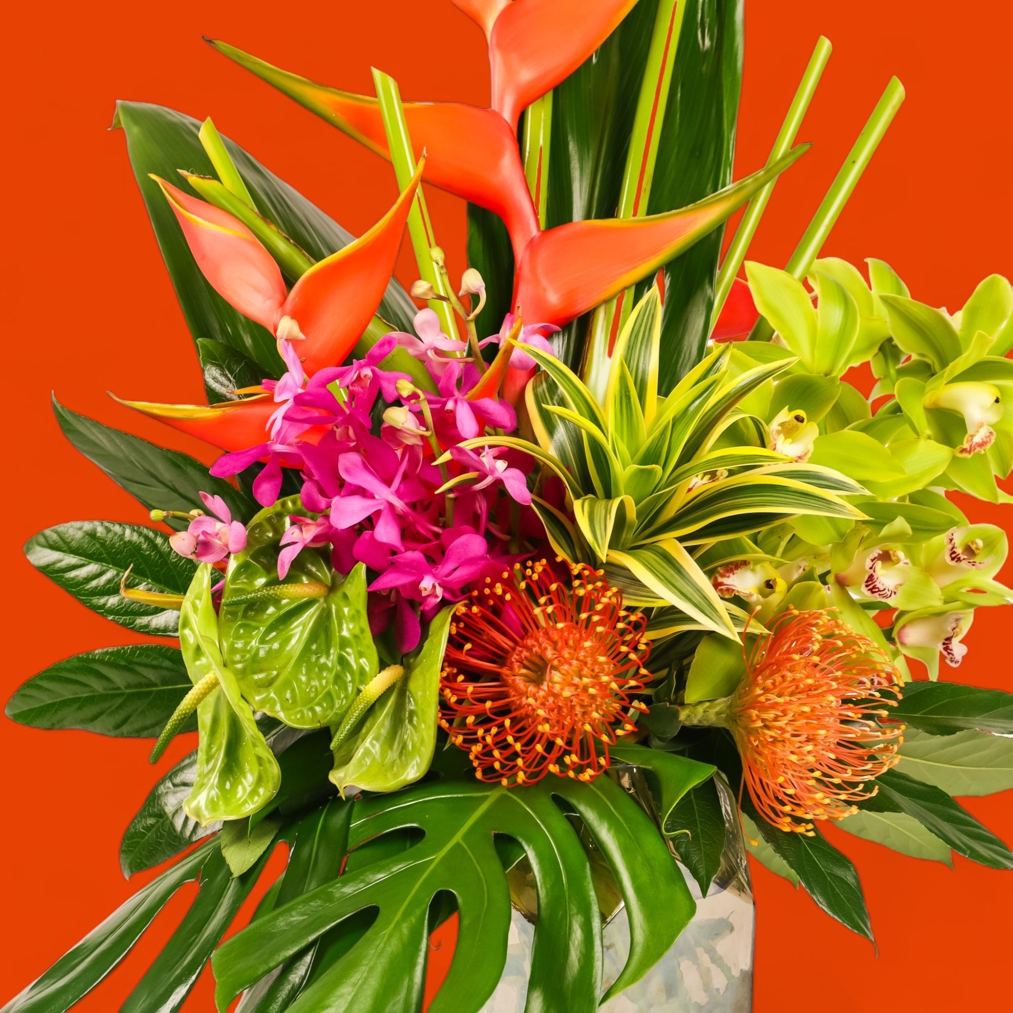 Hilo Beauty Designer Floral - Green Fresh Florals + Plants