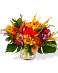 Late Night Luau Floral - Green Fresh Florals + Plants