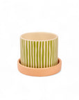 Melancia Pot + Saucer - Green Fresh Florals + Plants