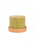 Melancia Pot + Saucer - Green Fresh Florals + Plants