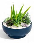 9" Midnight Blue Crystal Succulent Garden - Green Fresh Florals + Plants