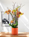 Orange Orchid Planting - Green Fresh Florals + Plants