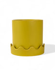 Pissaro Pot + Saucer - Green Fresh Florals + Plants
