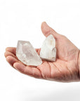Quartz Crystals: Amplifiers of Healing and Meditation - Green Fresh Florals + Plants