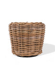 Rattan Basket - Green Fresh Florals + Plants