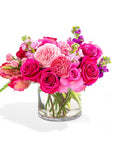 Sweet Like Candy Floral - Green Fresh Florals + Plants
