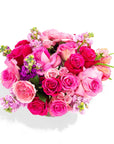 Sweet Like Candy Floral - Green Fresh Florals + Plants