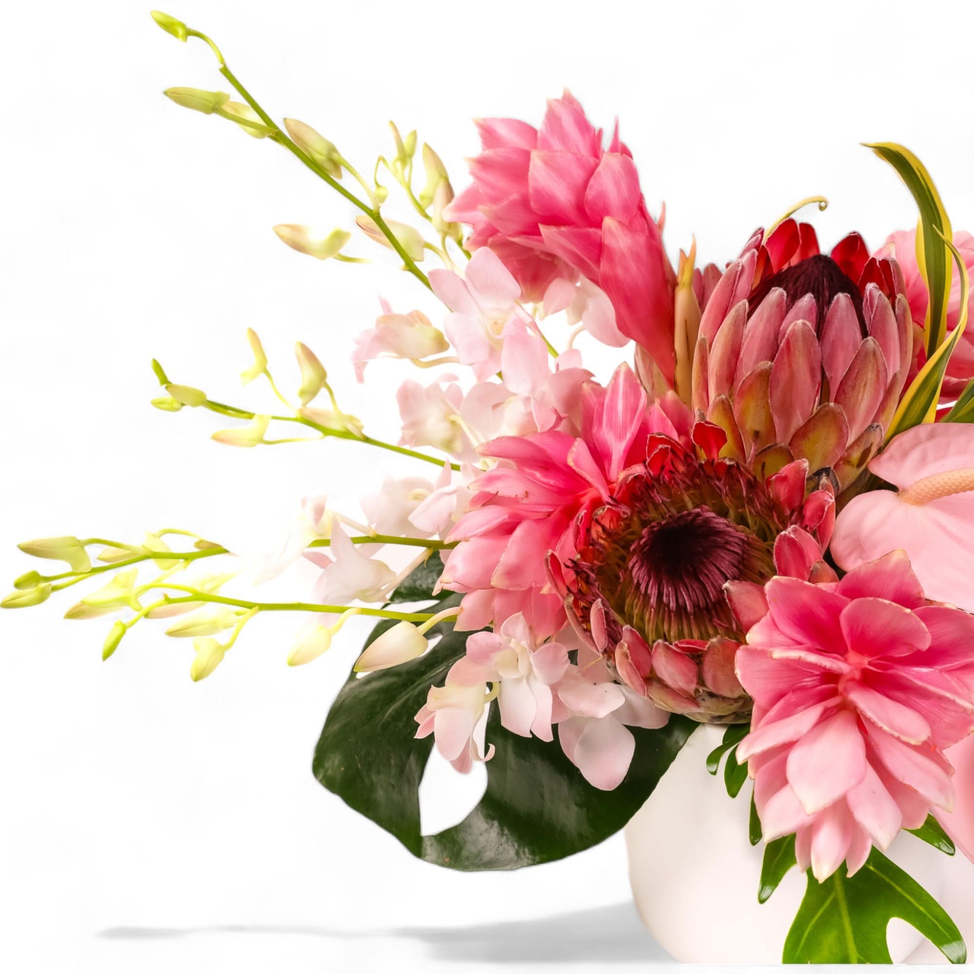 Tropical Blush Designer Floral - Green Fresh Florals + Plants