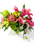 Tropical Escape Designer Floral - Green Fresh Florals + Plants