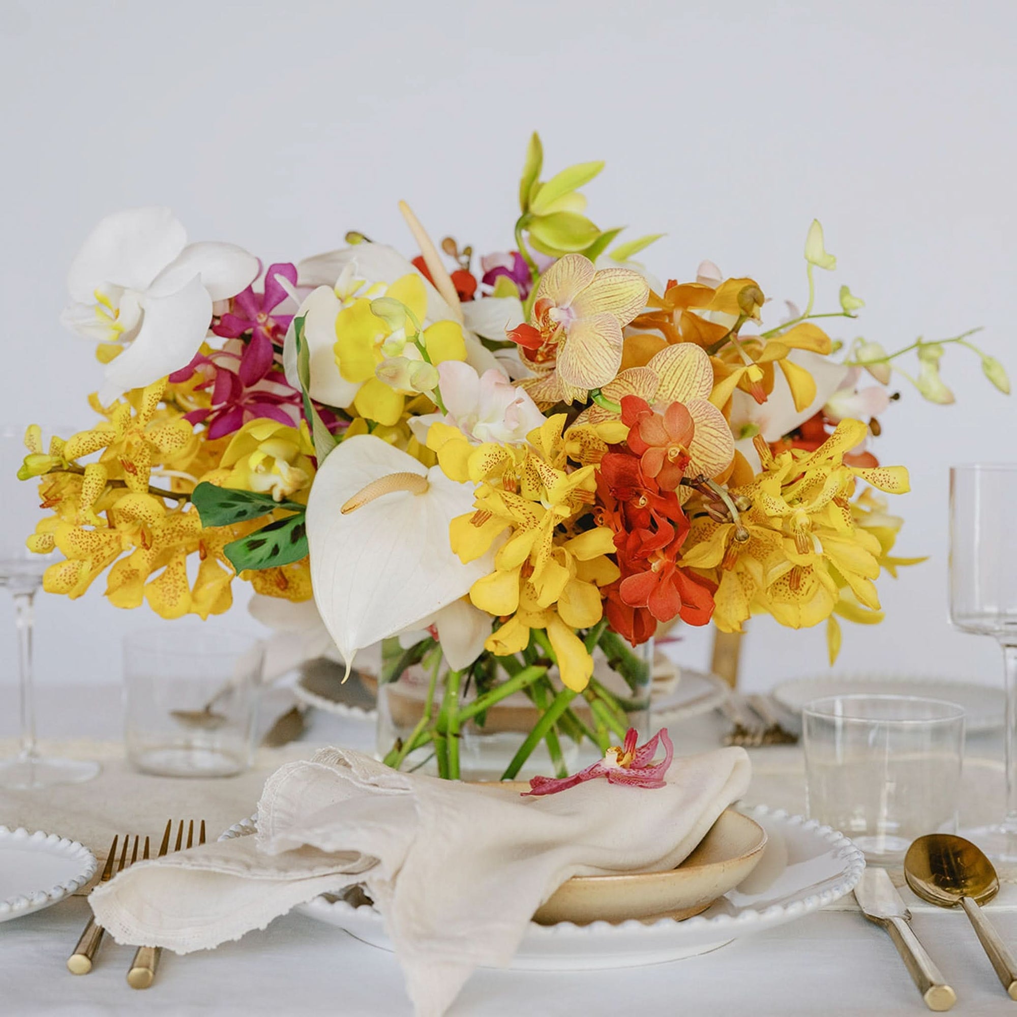 Tropical Orchids A la Carte Centerpiece - Green Fresh Florals + Plants