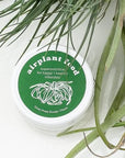 Air Plant Food - Green Fresh Florals + Plants