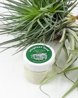 Air Plant Food - Green Fresh Florals + Plants