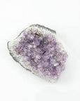 Amethyst Gemstone - Green Fresh Florals + Plants