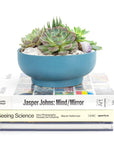 Antique Teal Crystal Succulent Garden - Green Fresh Florals + Plants