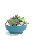 Antique Teal Crystal Succulent Garden - Green Fresh Florals + Plants