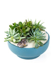 Antique Teal Crystal Succulent Garden - Green Fresh Florals + Plants