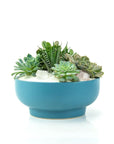 Antique Teal Crystal Succulent Garden - Green Fresh Florals + Plants
