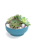 Antique Teal Crystal Succulent Garden - Green Fresh Florals + Plants