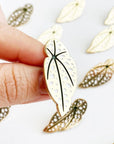 Begonia Maculata Leaf Lapel Pin - Green Fresh Florals + Plants