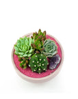 Blush Crystal Succulent Garden - Green Fresh Florals + Plants