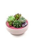 Blush Crystal Succulent Garden - Green Fresh Florals + Plants
