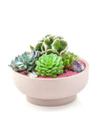 Blush Crystal Succulent Garden - Green Fresh Florals + Plants