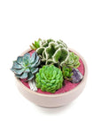 Blush Crystal Succulent Garden - Green Fresh Florals + Plants