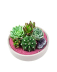 Blush Crystal Succulent Garden - Green Fresh Florals + Plants