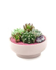 Blush Crystal Succulent Garden - Green Fresh Florals + Plants