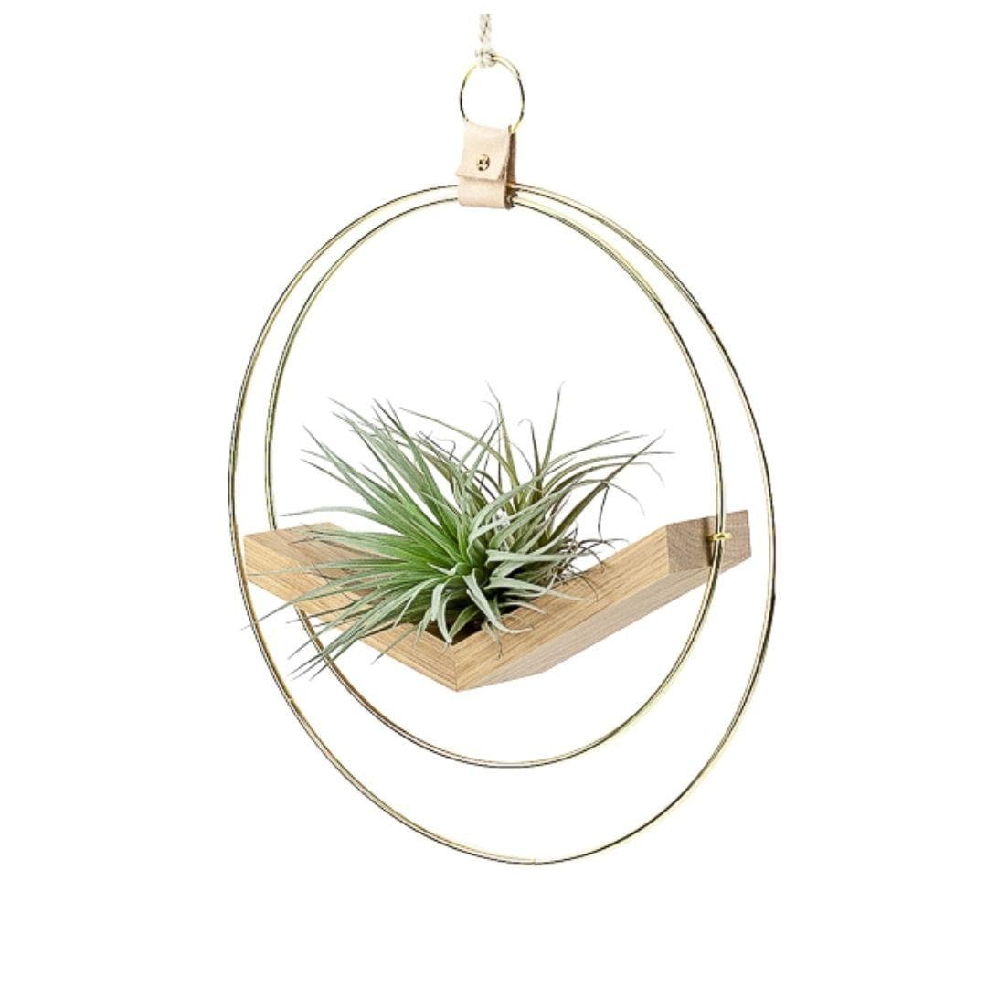 Brass Ring V Hanger - Green Fresh Florals + Plants