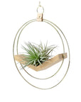 Brass Ring V Hanger - Green Fresh Florals + Plants