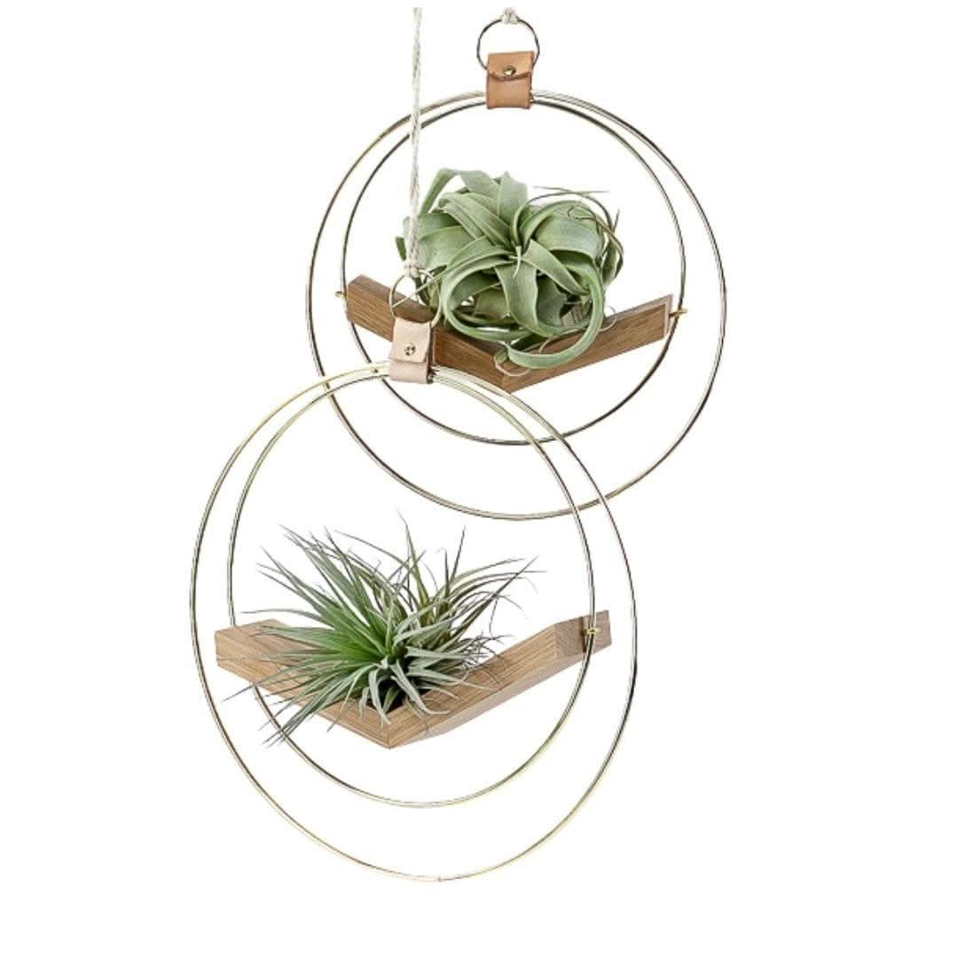 Brass Ring V Hanger - Green Fresh Florals + Plants