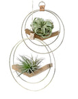 Brass Ring V Hanger - Green Fresh Florals + Plants