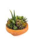 Concrete Succulent Planting - Green Fresh Florals + Plants